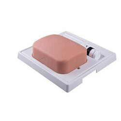 SONOtrainª Gallbladder model