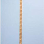 Finger and shoulder ladder - Wood